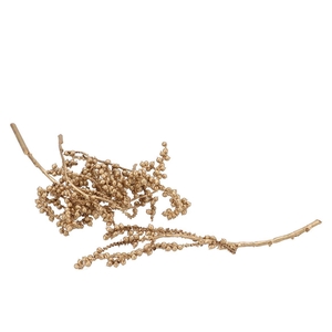 Pick Nature Canella Gold P/25