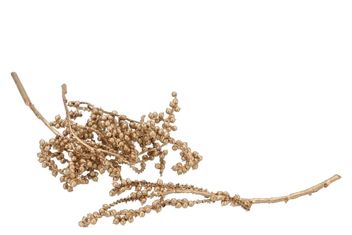 Pick Nature Canella Gold P/25