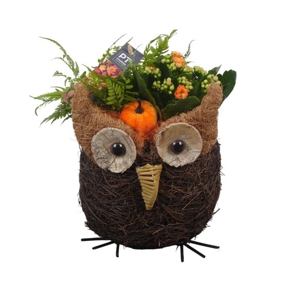 <h4>PTHI5390 Arrangement Herfst Indoor in rieten mand in uilvorm</h4>