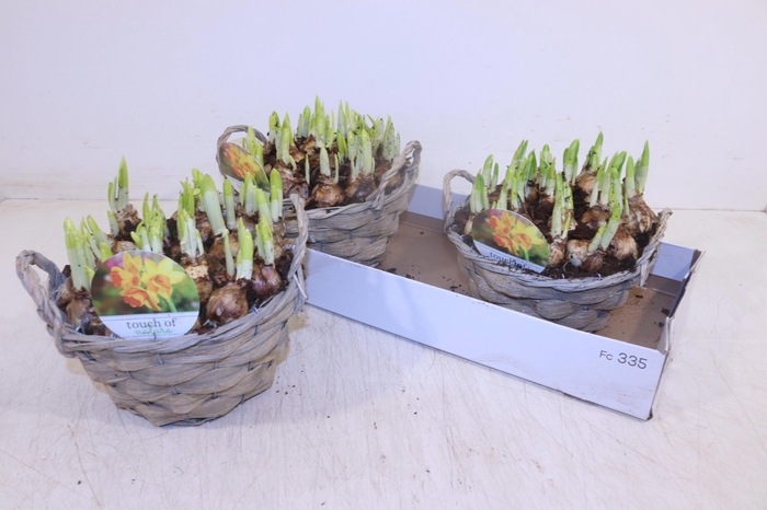 <h4>ARR N TETE A TETE</h4>