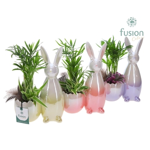 Pot keramiek Haas Pasen 3 kleuren Small met arrangement