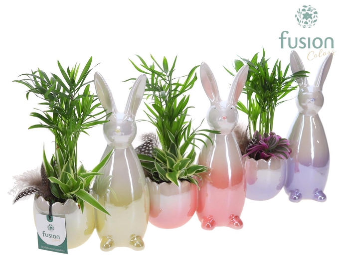 <h4>Pot keramiek Haas Pasen 3 kleuren Small met arrangement</h4>