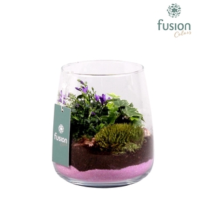 Glazen vaas Alzada met campanula 24uur levertijd