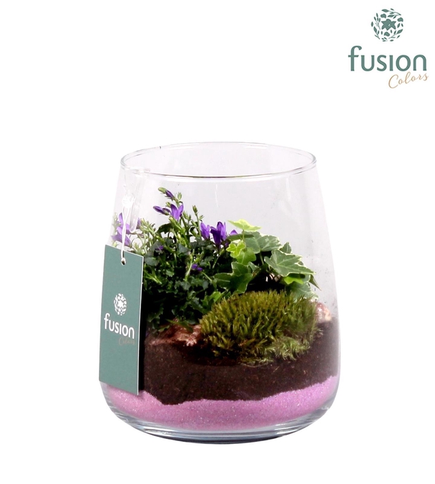 <h4>Glazen vaas Alzada met campanula 24uur levertijd</h4>