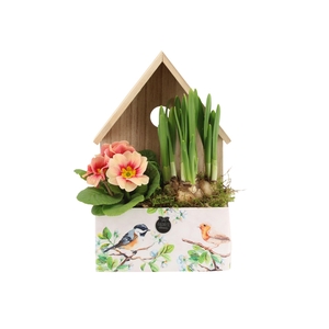 11458: Outdoor spring arrangement