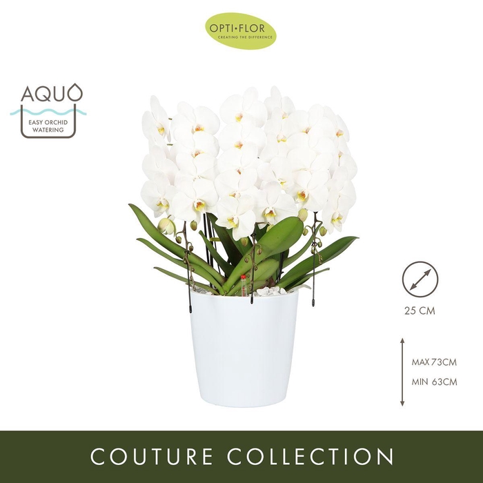 <h4>Phal Japanse Mountain White 3 Tak Keramiek</h4>