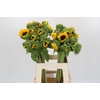 Helianthus Orange Fire