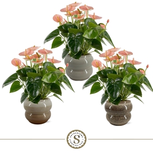 Bocelli keramiek Spirit 14cm