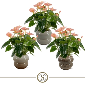 Bocelli keramiek Spirit 14cm