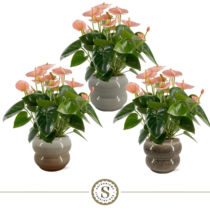 <h4>Bocelli keramiek Spirit 14cm</h4>