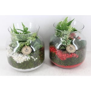 arr2 PL - Glas candy x2 - rood/wit