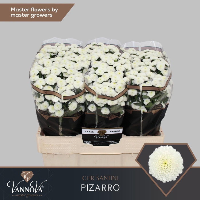 <h4>Chr S Pizarro 1000gr</h4>