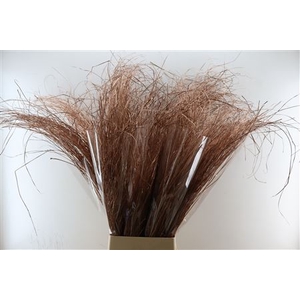 DRY GRASS XXL COPPER PBS