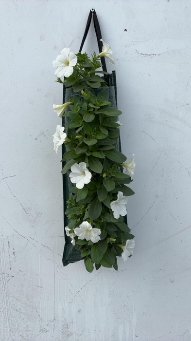 <h4>OVERIGE PERKPL</h4>