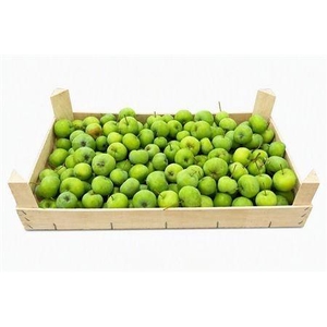 MALUS PER BAK OV