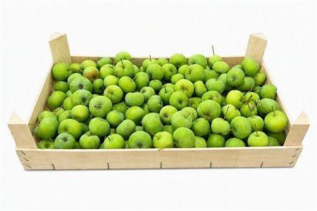 <h4>MALUS PER BAK OV</h4>