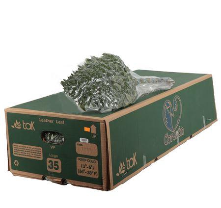 <h4>Lederv. Large Vacuum</h4>