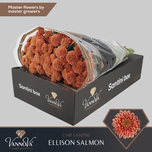 Chr S Ellison Salmon