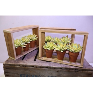 Arr Echev Summer In Houten Lijst