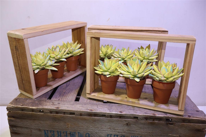 <h4>Arr Echev Summer In Houten Lijst</h4>