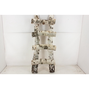 arr3 GB - Berken ladder