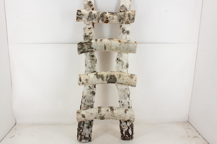 <h4>arr3 GB - Berken ladder</h4>