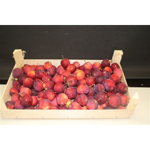 F Appels Rood P Kist 5kg