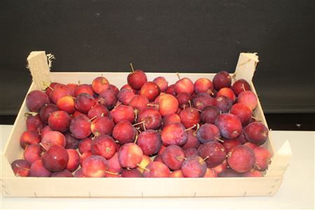 <h4>F Appels Rood P Kist 5kg</h4>
