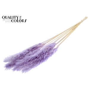 Fluffy Pampas 10pc/bunch Bleached Milka