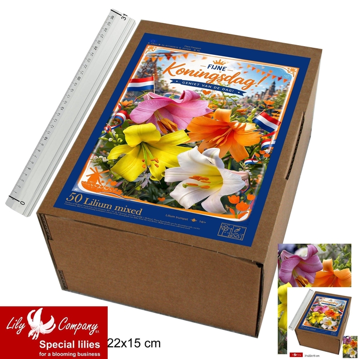 <h4>BLOEMBOL OV</h4>