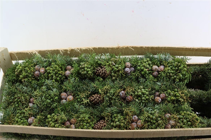 <h4>Wr Advent Guirlande 80cm</h4>