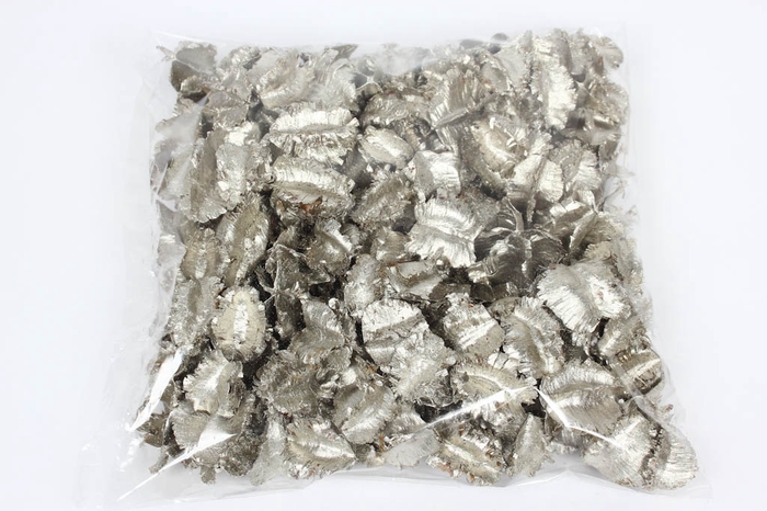 Arjun large 250gr in poly Platina