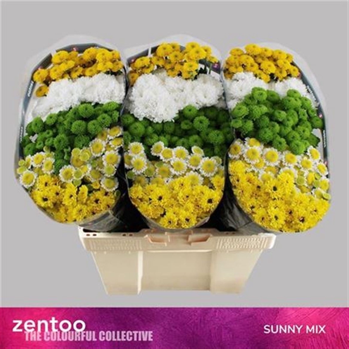 <h4>Sant Sunny Mix</h4>