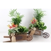 arr2 TD - Hout kruiwagen - wit