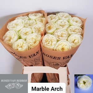 R GR MARBLE ARCH