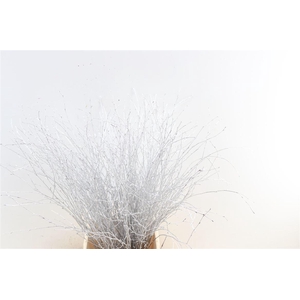 Berk 70cm Zilver Pbs