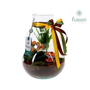 Green Bottle Olaf Medium met Herfst arrangement