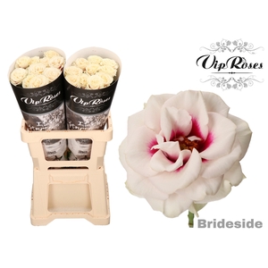 R GR BRIDESIDE! x 20