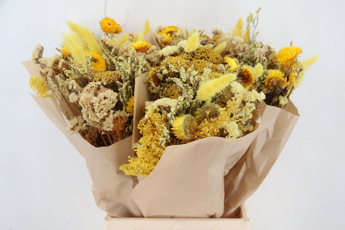 <h4>GEM BOEKET OV</h4>