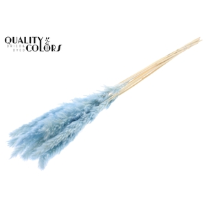 Fluffy Pampas 10pc/bunch Intense Light Blue