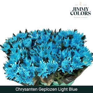 Chr G Topspin Klbh. Licht blauw