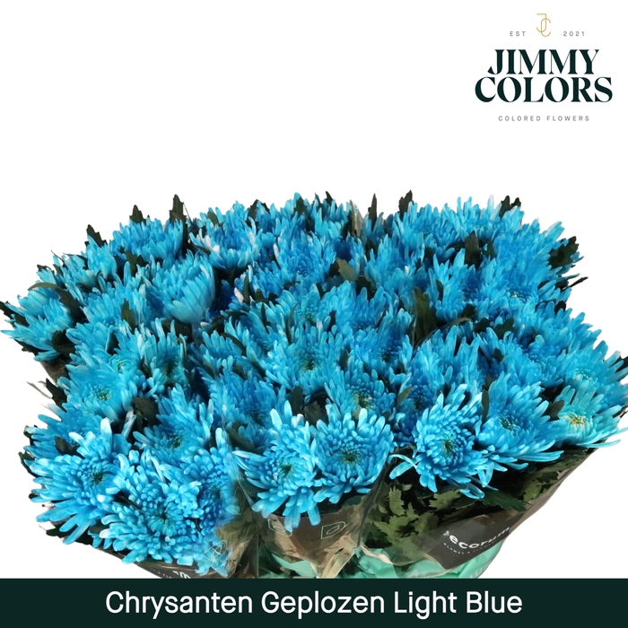 <h4>Chr G Topspin Klbh. Licht blauw</h4>