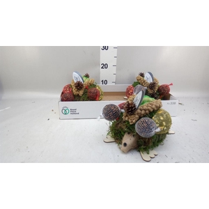 Decoratie  ..Vogelzaadfiguur  H%