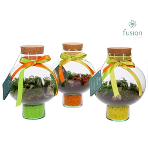 Green BottleLaura Small met Terrarium arrangement