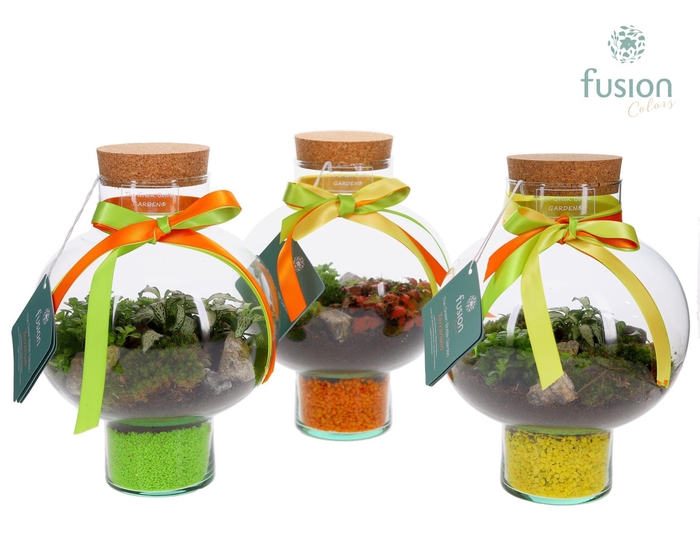 <h4>Green BottleLaura Small met Terrarium arrangement</h4>