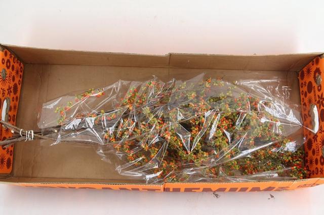 <h4>CELAS SC NICO BES 85CM</h4>