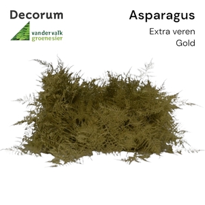 Asp extra veren Gold Box