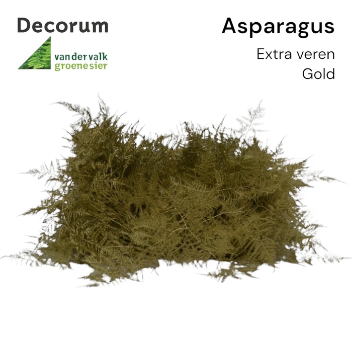 <h4>Asp extra veren Gold Box</h4>