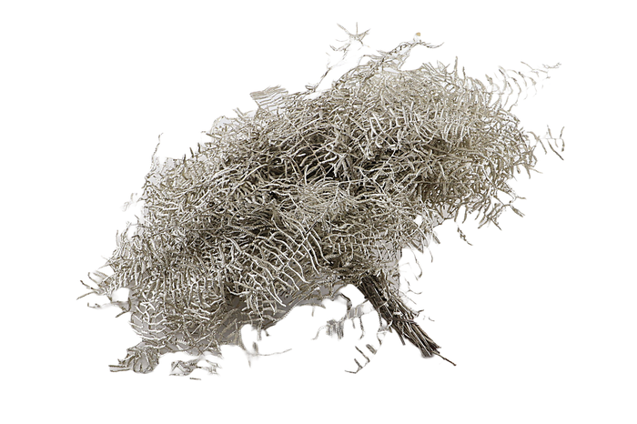 Koraalvaren Klb Platinum X5