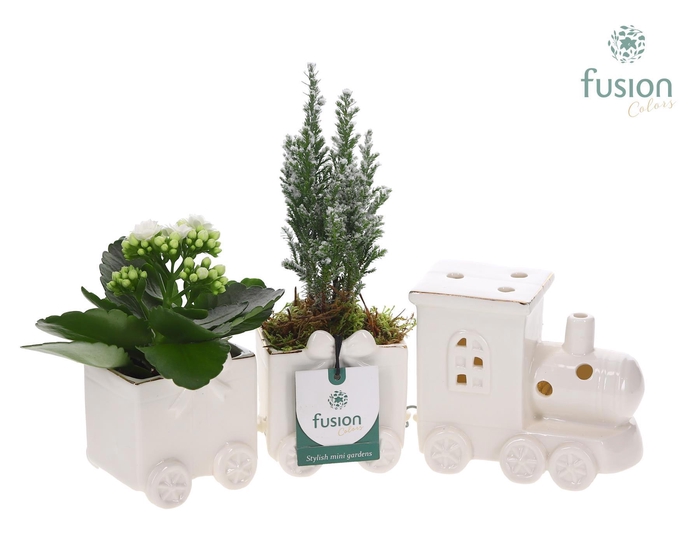 <h4>Keramiek Trein Medium met Arrangement</h4>